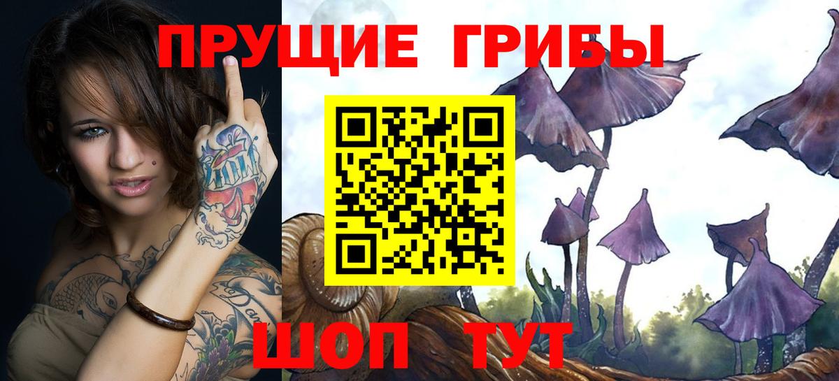 Галлюциногенные грибы MAGIC MUSHROOMS Дербент