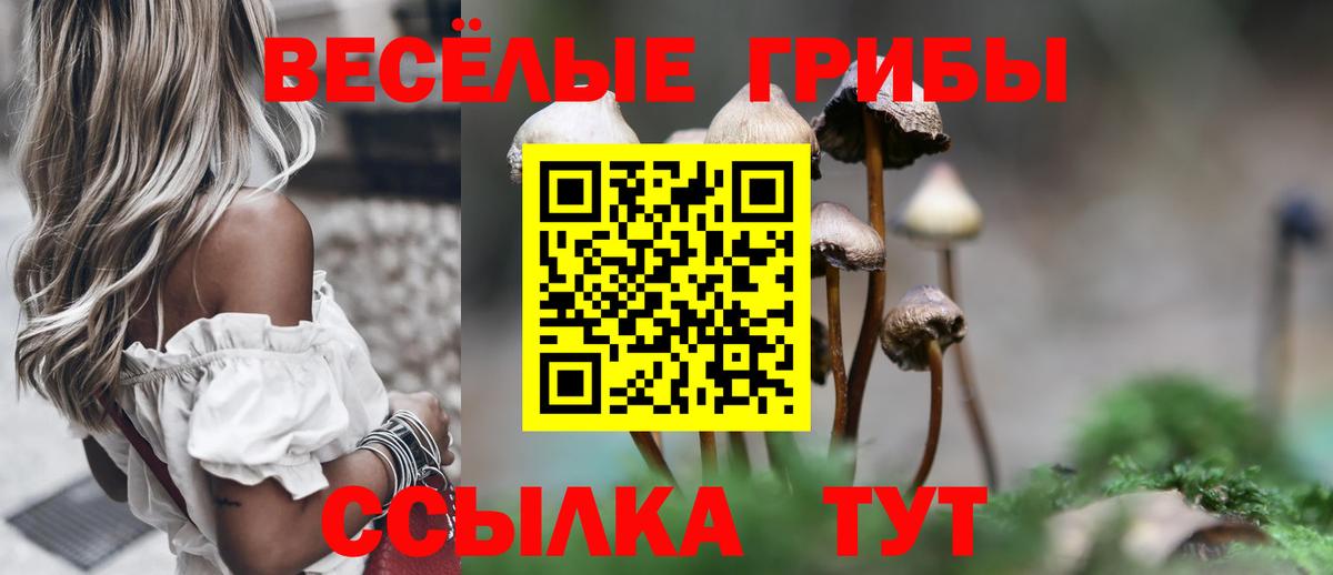 Галлюциногенные грибы прущие грибы  Вход с VPN  Дербент  Псилоцибиновые грибы Magic Shrooms 
